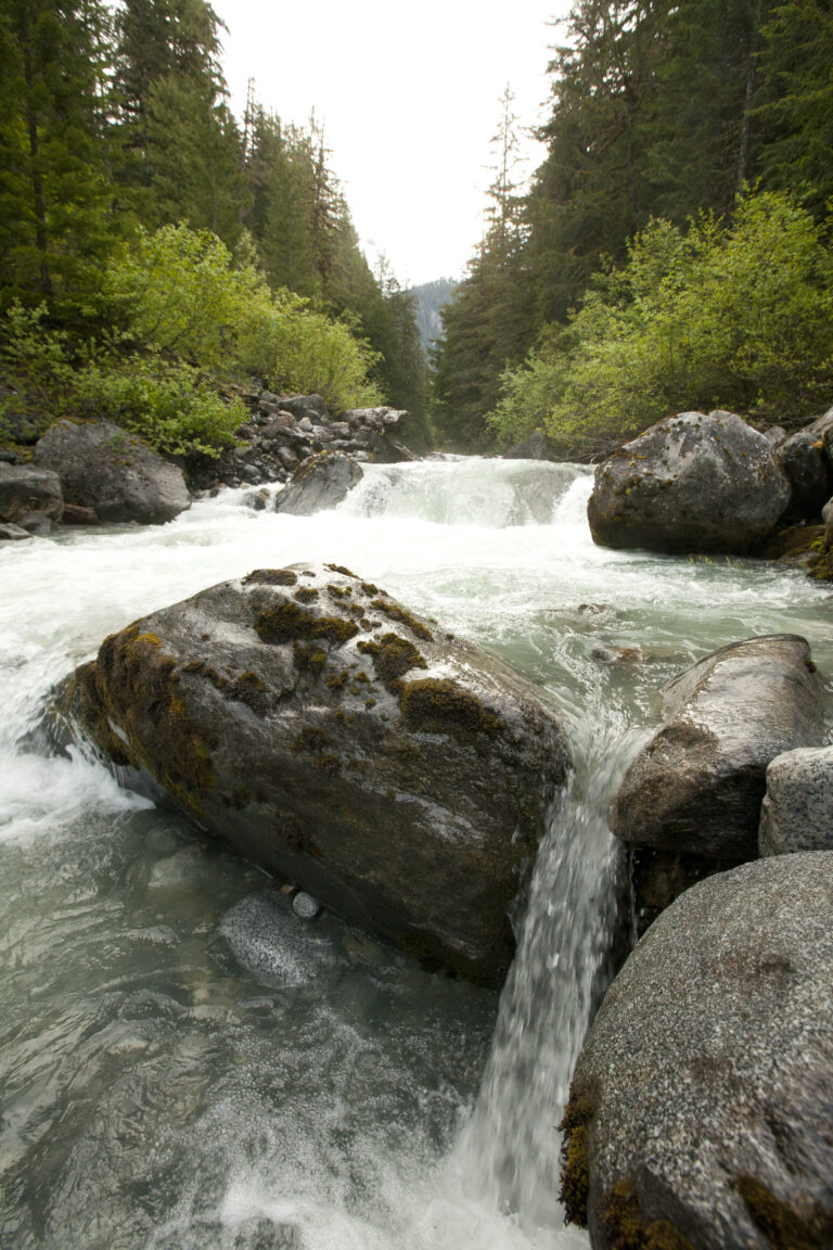 img 4272 768x1152