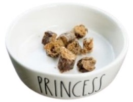 cat treats with Dish